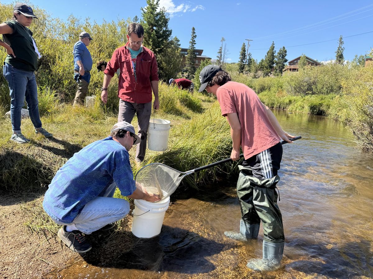 Students and volunteers netting macroinvertebrate samples from a stream